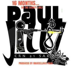 16 Months (In the County Jail) - Single by Paul Jillz album reviews, ratings, credits