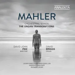 Mahler: Orchestral Songs - The Organ Transcriptions by David John Pike & David Briggs album reviews, ratings, credits