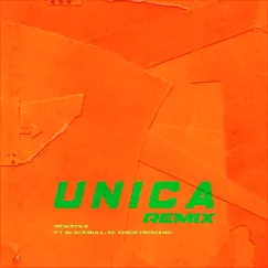 Unica (feat. El Chico Peruano & Black Bull) [Remix] Song Lyrics