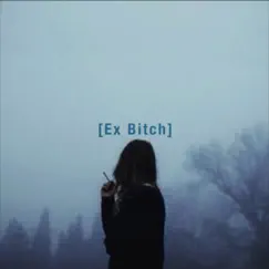 Ex Bitch Song Lyrics