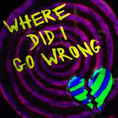 Where Did I Go Wrong - Single by Brother Octopus album reviews, ratings, credits