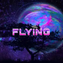 Flying - Single by Mini album reviews, ratings, credits