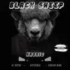 Blacksheep (feat. Chop Em Down & G EYE) - Single album lyrics, reviews, download