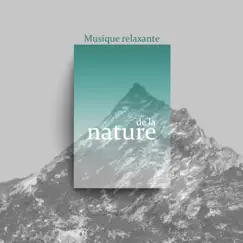 Musique relaxante de la nature by Buddhist méditation académie & Bouddha musique sanctuaire album reviews, ratings, credits