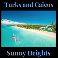Turks and Caicos (feat. Rich$kip) Song Lyrics