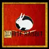 White Rabbit - Single album lyrics, reviews, download