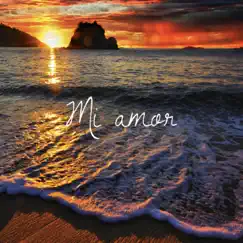 Mi Amor Song Lyrics