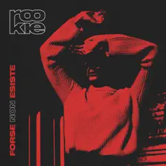 Forse Non Esiste - Single by Rookie album reviews, ratings, credits