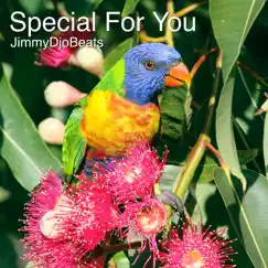 Special for You - Single by Jimmydjobeats album reviews, ratings, credits
