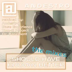 Should Have Known Better, The Mixes - EP by Andestro album reviews, ratings, credits