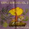 Simple Remedies Vol. 2 album lyrics, reviews, download