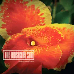 Underground Flower - Single by The Breaking Sun album reviews, ratings, credits