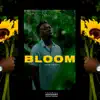 Bloom - EP album lyrics, reviews, download