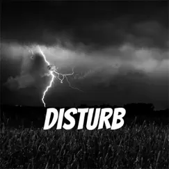 Disturb (Instrumental) - Single by Ade Hills album reviews, ratings, credits