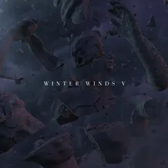 WINTER WINDS, Vol. 5 by Various Artists album reviews, ratings, credits