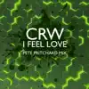 I feel Love (Pete Pritchard Mix) - Single album lyrics, reviews, download