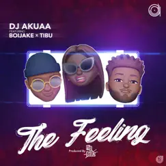 The Feeling (feat. BoiJake & Tibu) - Single by DjAkuaa album reviews, ratings, credits