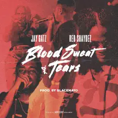 Blood, Sweat & Tears (feat. Red Shaydez) - Single by Jay Gatz album reviews, ratings, credits