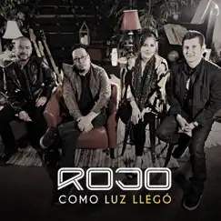 Como Luz Llegó - Single by Rojo album reviews, ratings, credits