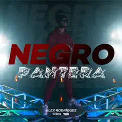 Negro Pantera - Single by Alex Rodríguez & Ozarus album reviews, ratings, credits