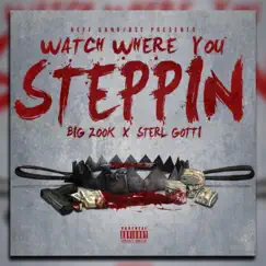 Watch Where You Steppin' (feat. Sterl Gotti) - Single by Big Zook album reviews, ratings, credits