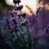 Lilac Stem - Single album lyrics, reviews, download