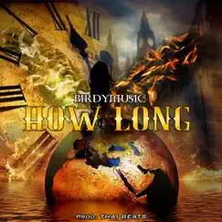 How Long - Single by BirdyMusic album reviews, ratings, credits