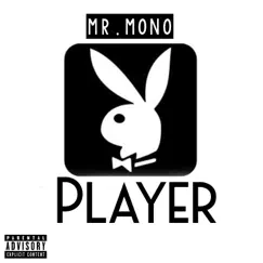 Player - Single by Mr.mono album reviews, ratings, credits