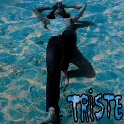 Triste (feat. Diego Adrian & Medio Picky) Song Lyrics