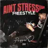Ain't Stressin' (Freestyle) - Single album lyrics, reviews, download