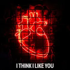 I Think I Like You - Single by Starkillers & Andrea Godin album reviews, ratings, credits