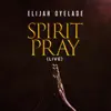 Spirit Pray (Live) - Single album lyrics, reviews, download