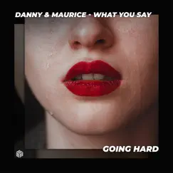 What You Say - Single by Danny & Maurice album reviews, ratings, credits