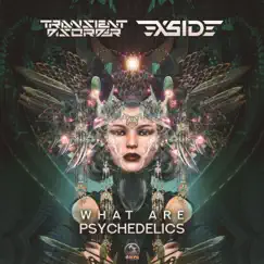 What Are Psychedelics - Single by Transient Disorder & X-Side album reviews, ratings, credits