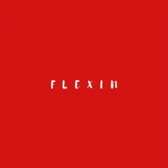 Flexin' - Single by Kappo Niz & Dinero Gwupo album reviews, ratings, credits