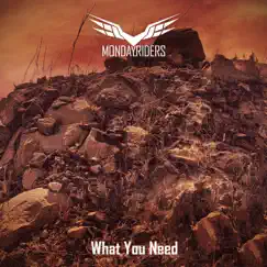 What You Need - Single by Monday Riders album reviews, ratings, credits