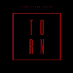 Torn - Single by Pineapples Bacon album reviews, ratings, credits