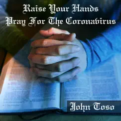 RAISE YOUR HANDS - PRAY FOR THE CORONA VIRUS by John Toso album reviews, ratings, credits
