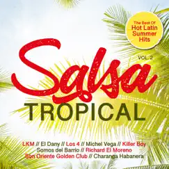 Reina del Salón (Salsa Version) Song Lyrics