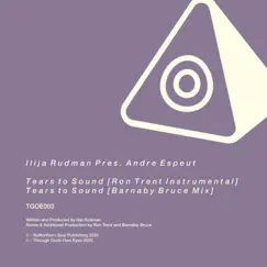Tears to Sound (Remixes) - Single by Ilija Rudman & Andre Espeut album reviews, ratings, credits