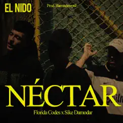 Néctar (feat. Sike Damodar) Song Lyrics