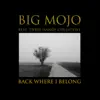 Back Where I Belong (THC Remix) - Single album lyrics, reviews, download