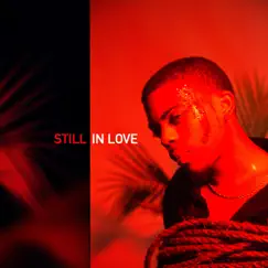 Still in Love - Single by Knorii album reviews, ratings, credits