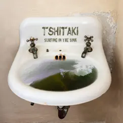 Surfing in the Sink Song Lyrics