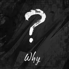 Why. - Single by Jared Krumm album reviews, ratings, credits