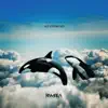 Nevermind - Single album lyrics, reviews, download