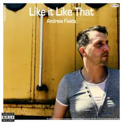 Like It Like That (Remixes) - EP by Andrew Fields album reviews, ratings, credits
