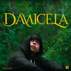 Damicela Song Lyrics