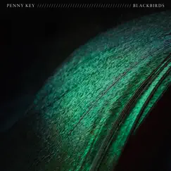 Blackbirds - EP by Penny Key album reviews, ratings, credits