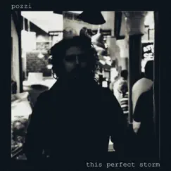 This Perfect Storm - Single by Pozzi album reviews, ratings, credits